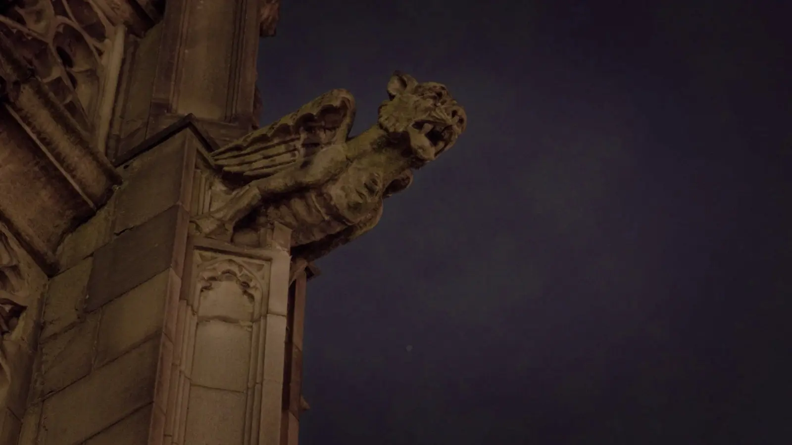 Nobody Loves You and You Don't Deserve to Exist backdrop