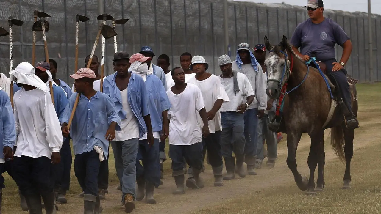 The Farm: Angola, USA backdrop