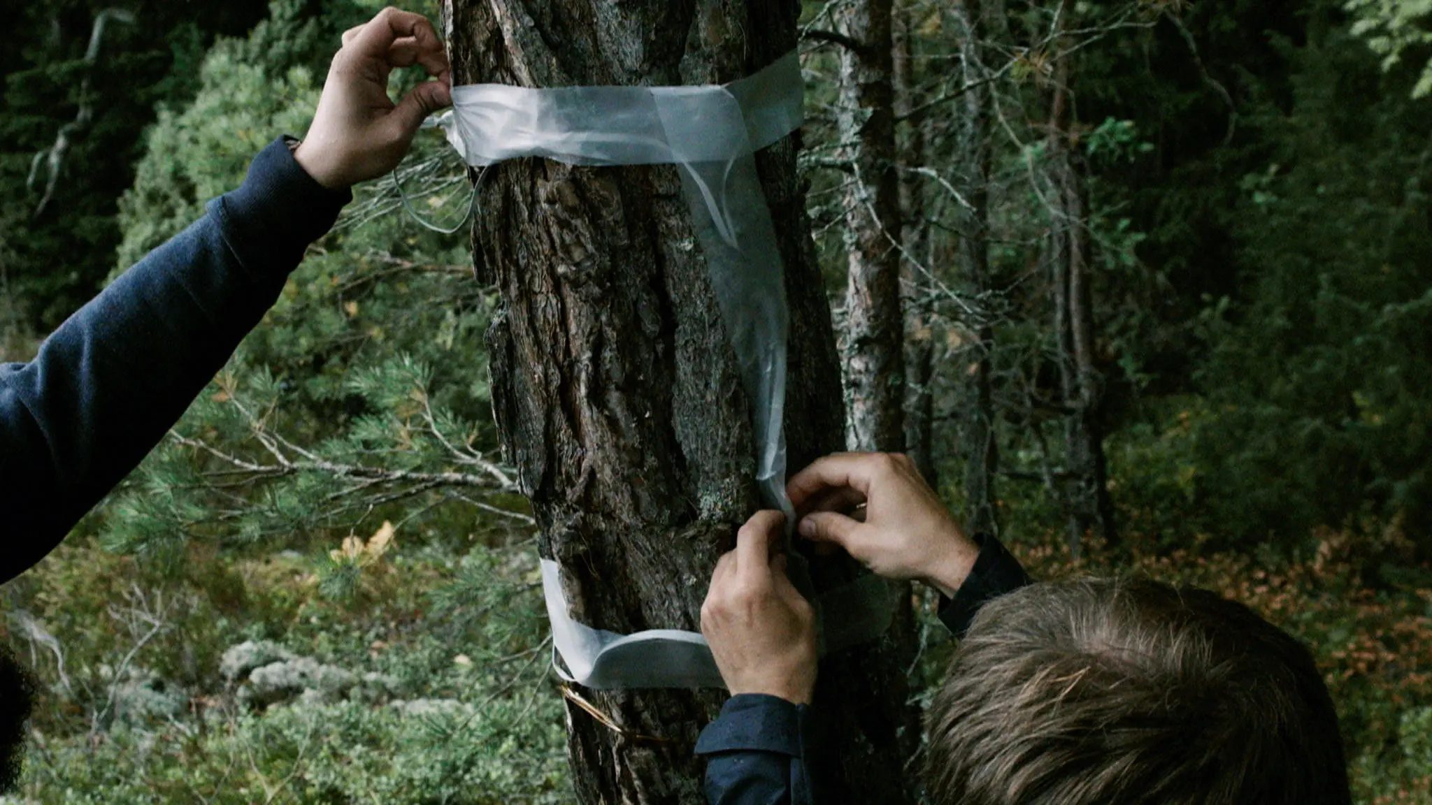 The Mirrored Message backdrop