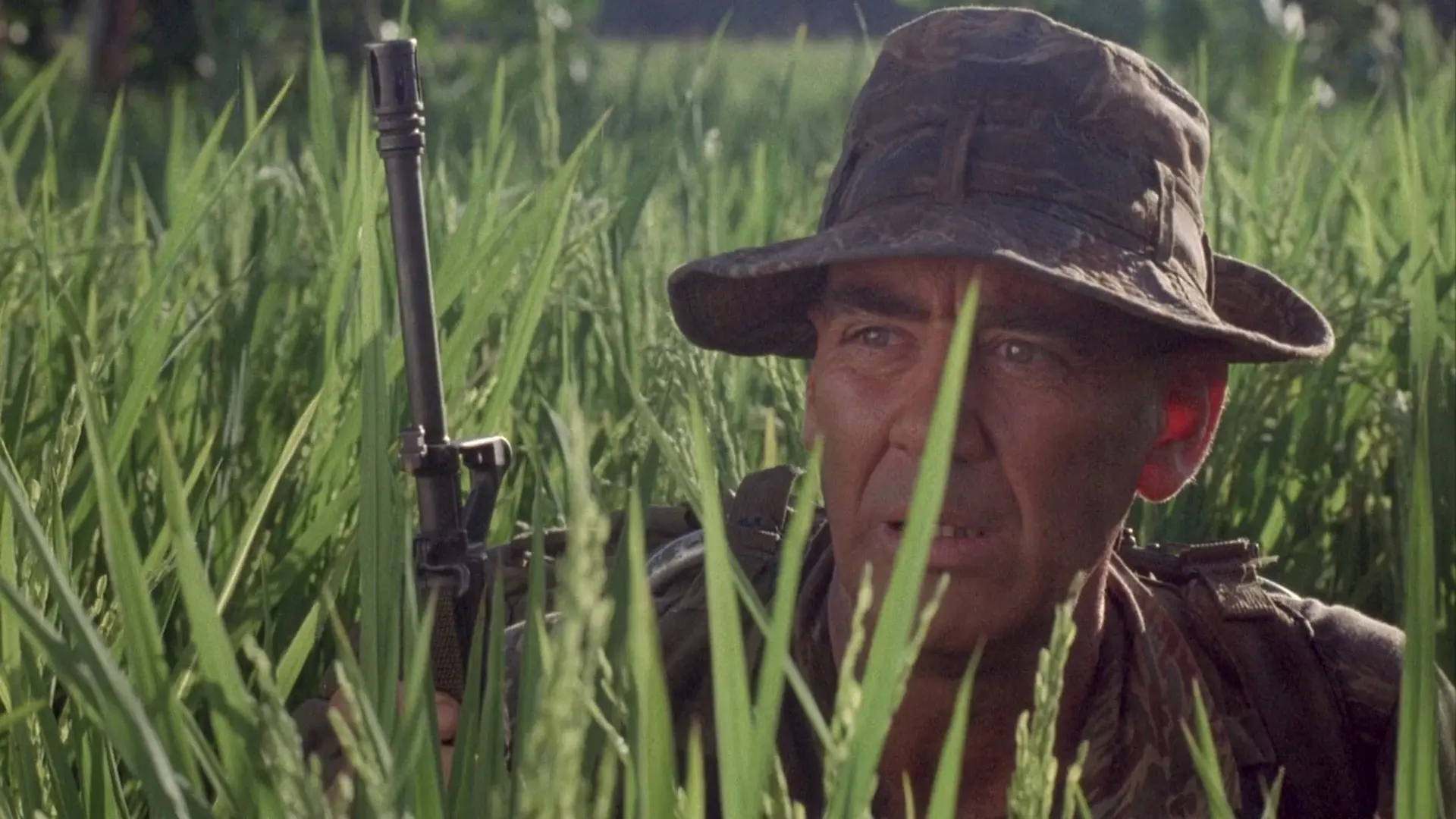 The Siege of Firebase Gloria backdrop