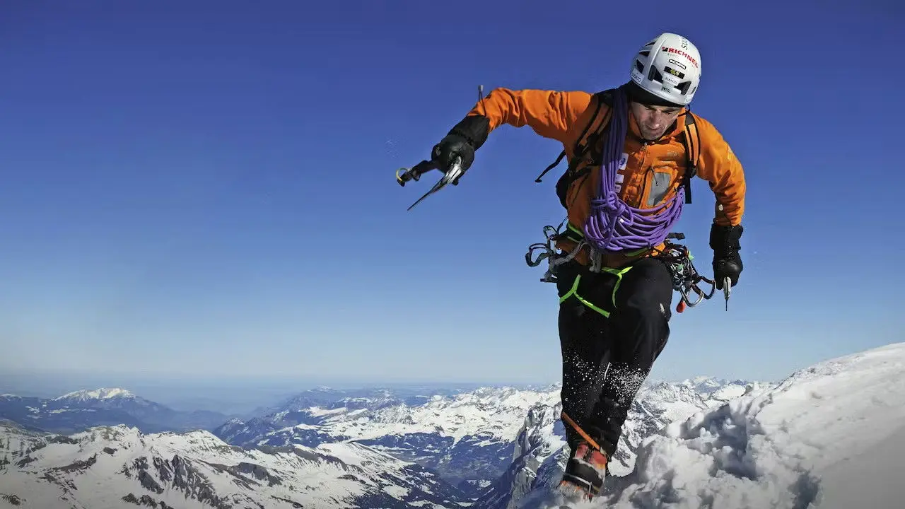 The Swiss Machine backdrop