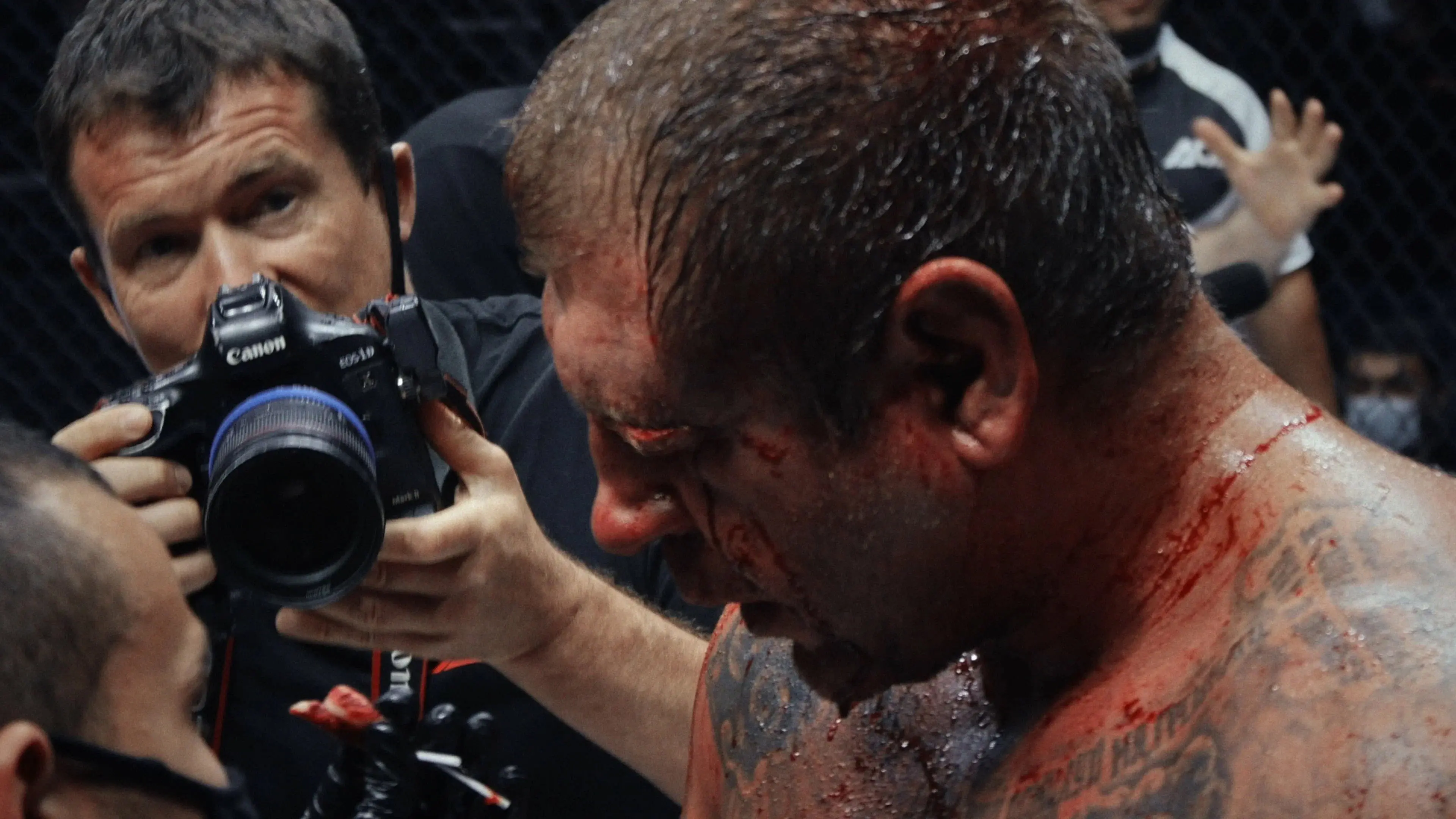 Emelianenko backdrop