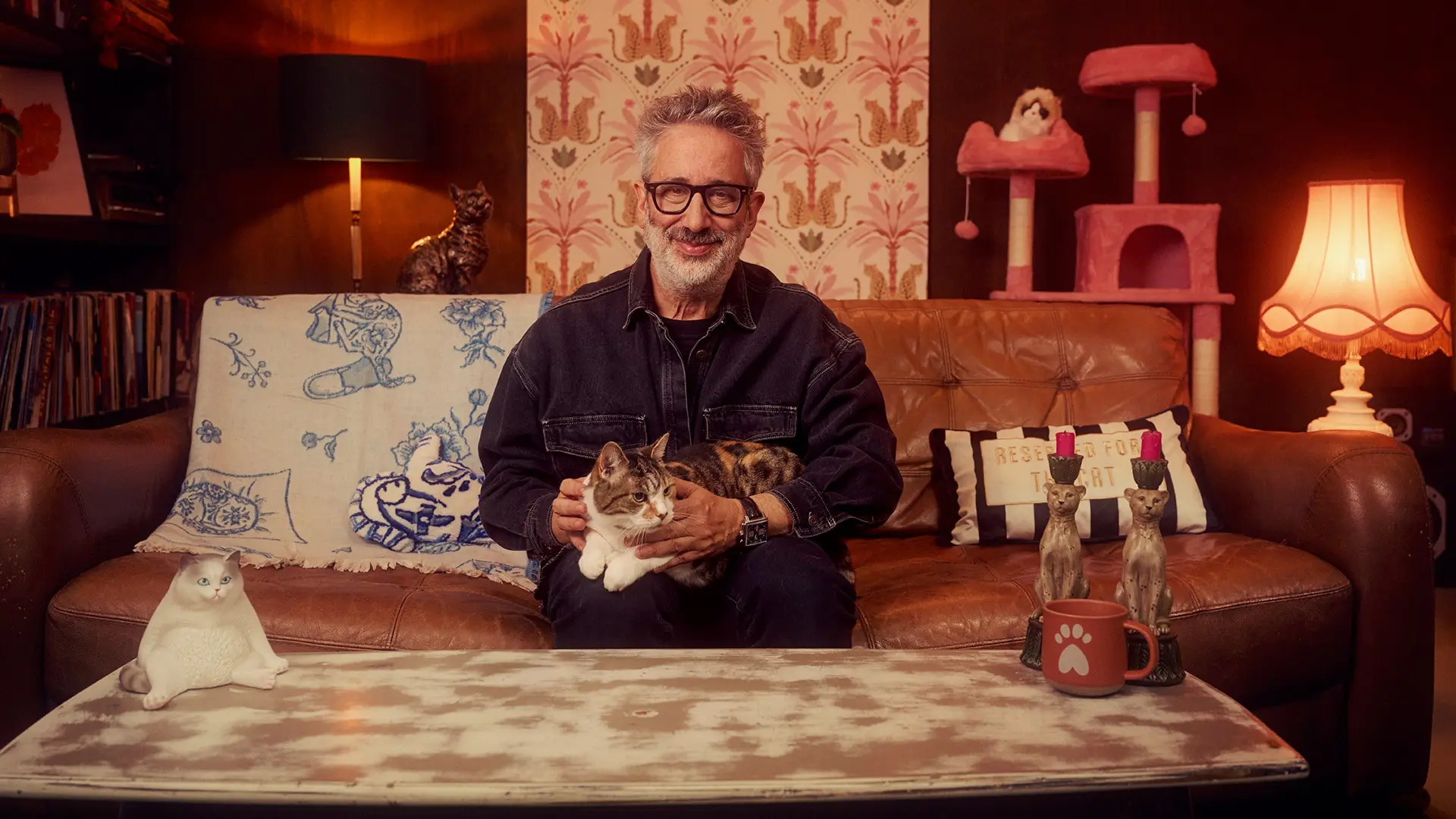 David Baddiel: Cat Man backdrop