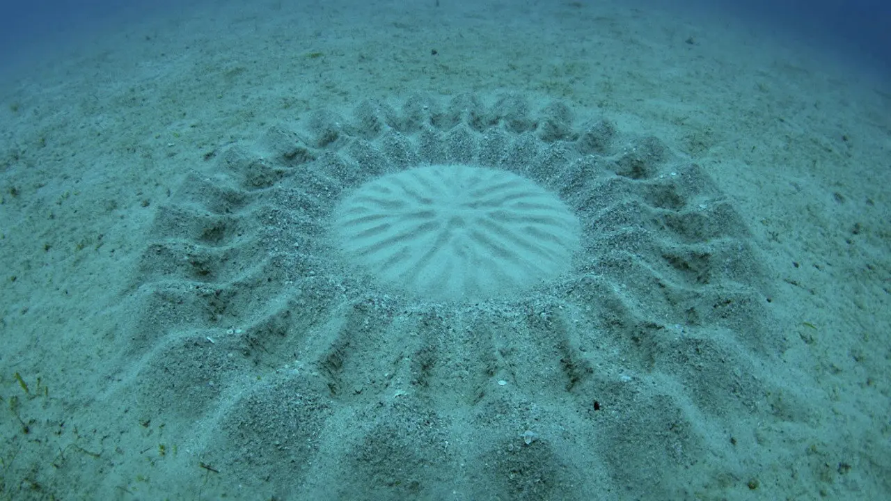 The Mystery of the Med Rings backdrop