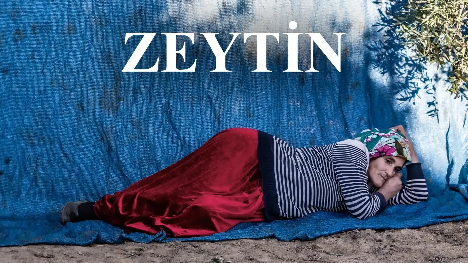 Zeytin backdrop