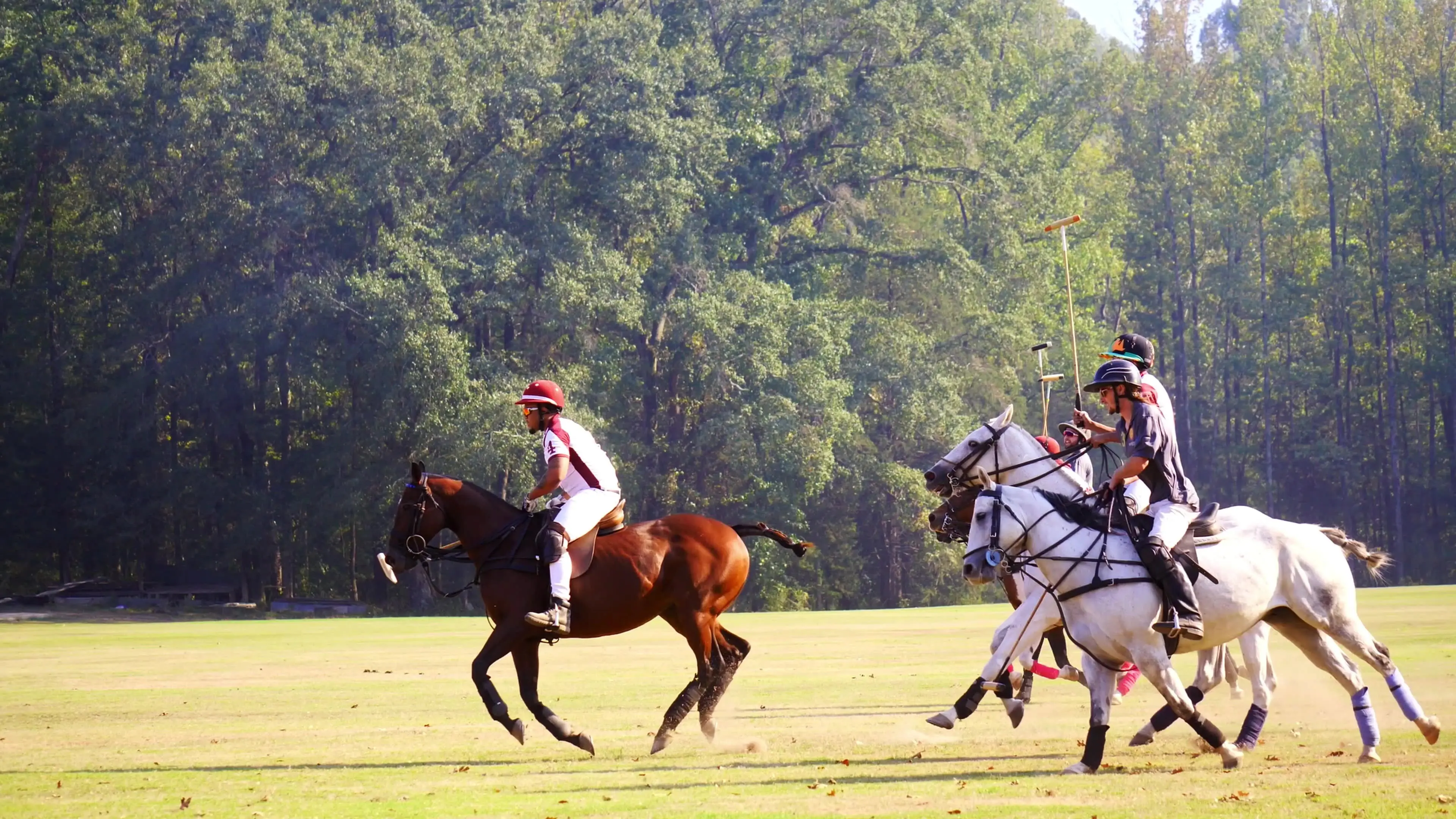 From Rodeo to Polo: The 1st HBCU Polo Team backdrop
