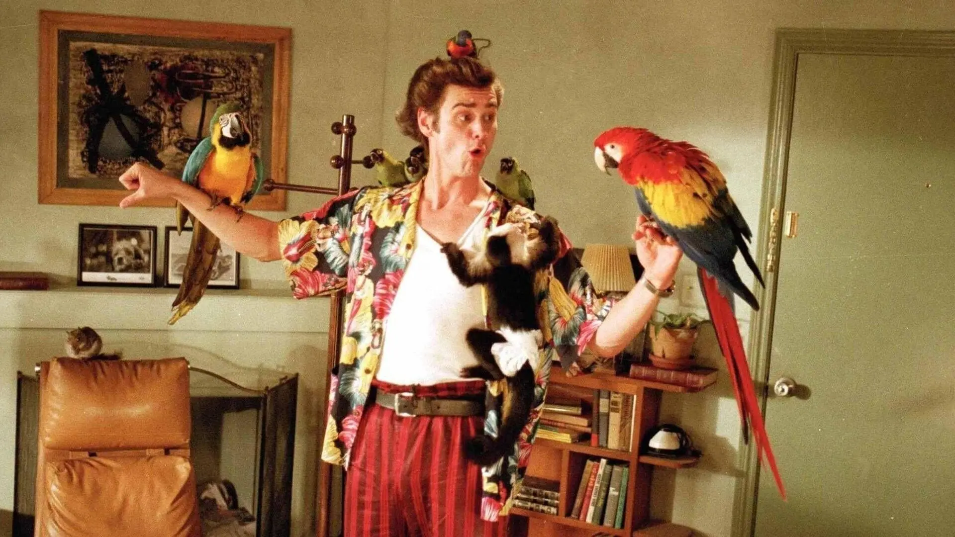 Ace Ventura: Pet Detective backdrop