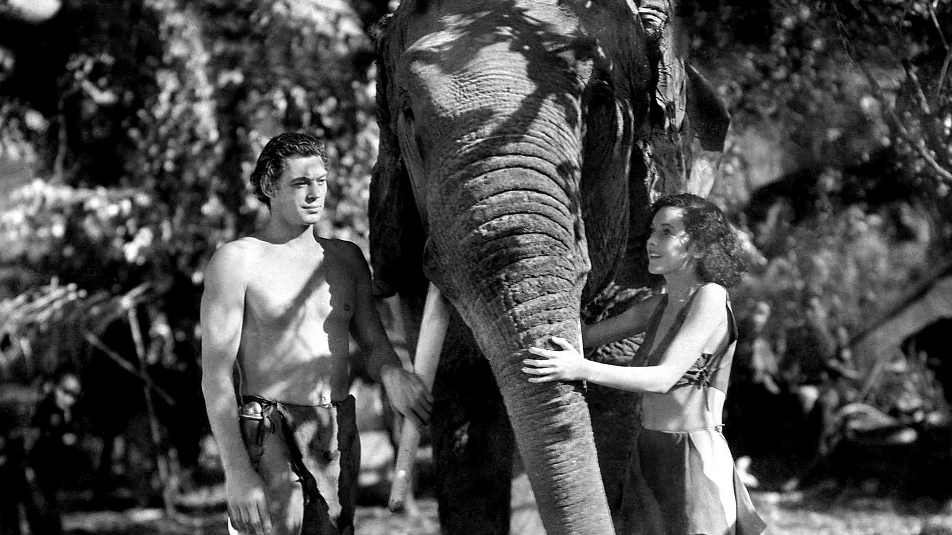 Tarzan and His Mate backdrop