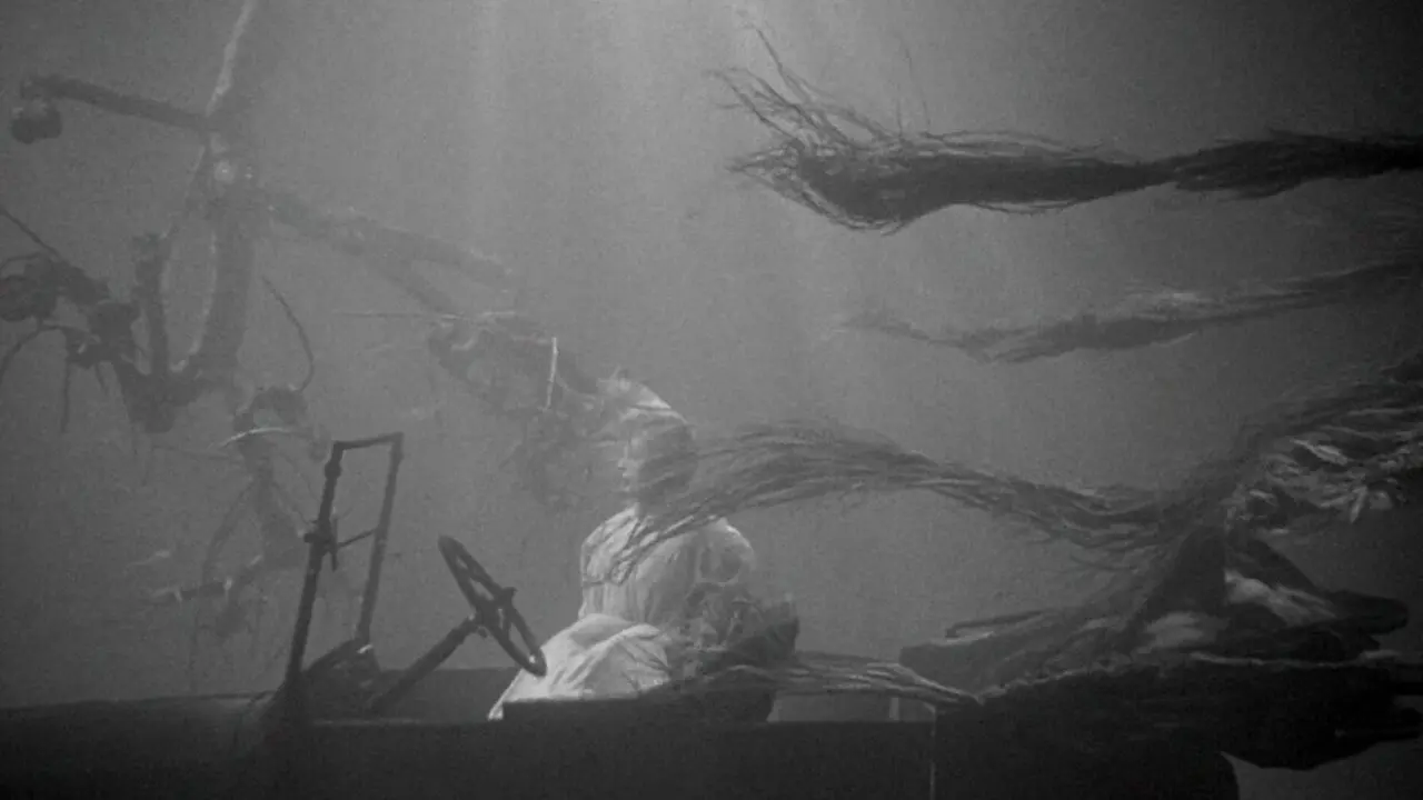 The Night of the Hunter backdrop