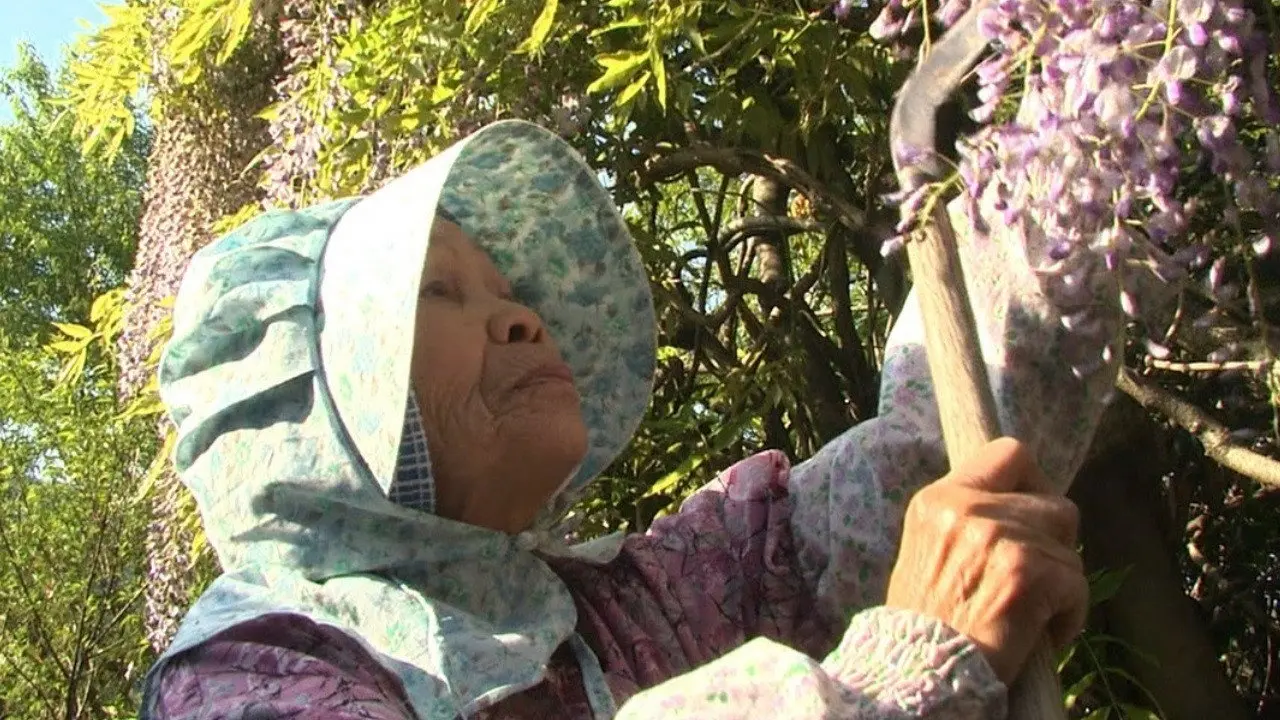 Grandma's Eternal Forest backdrop