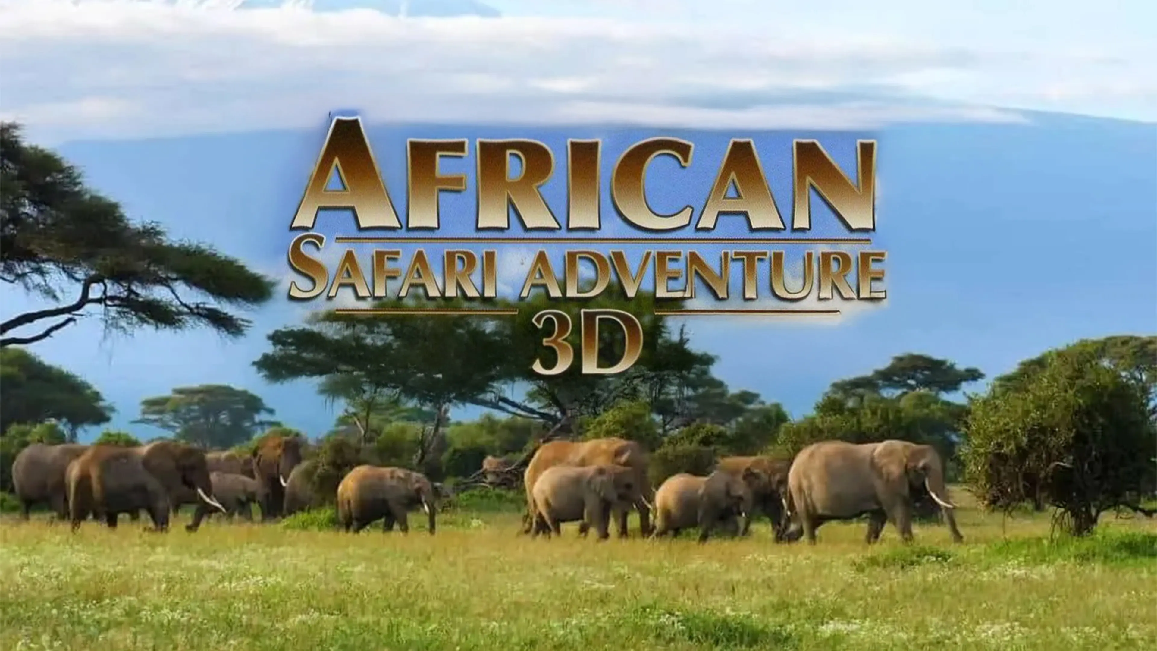 African Safari Adventure backdrop