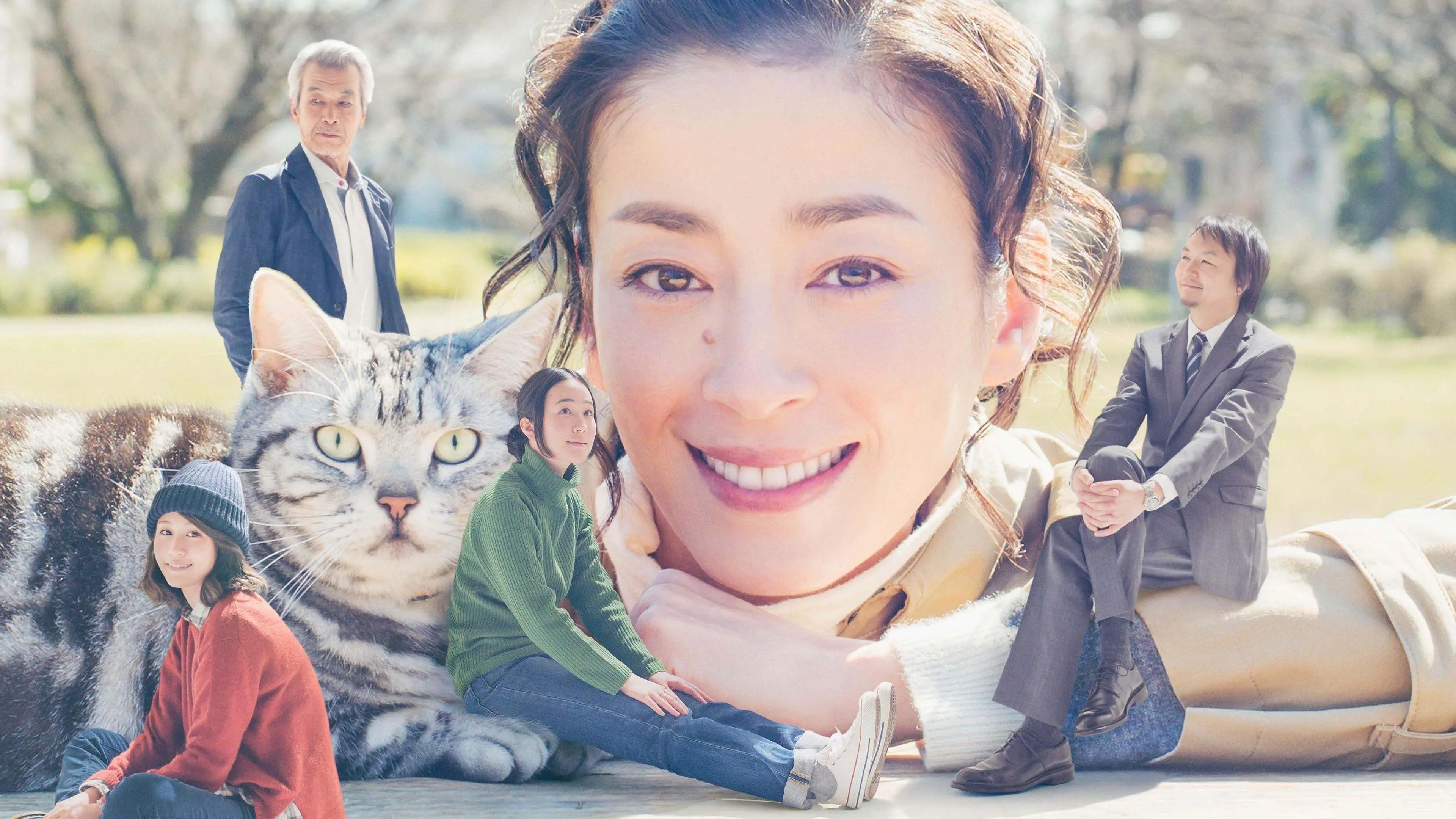 Gu Gu the Cat backdrop