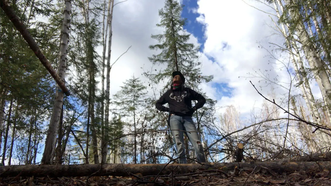 K'i Tah Amongst the Birch backdrop