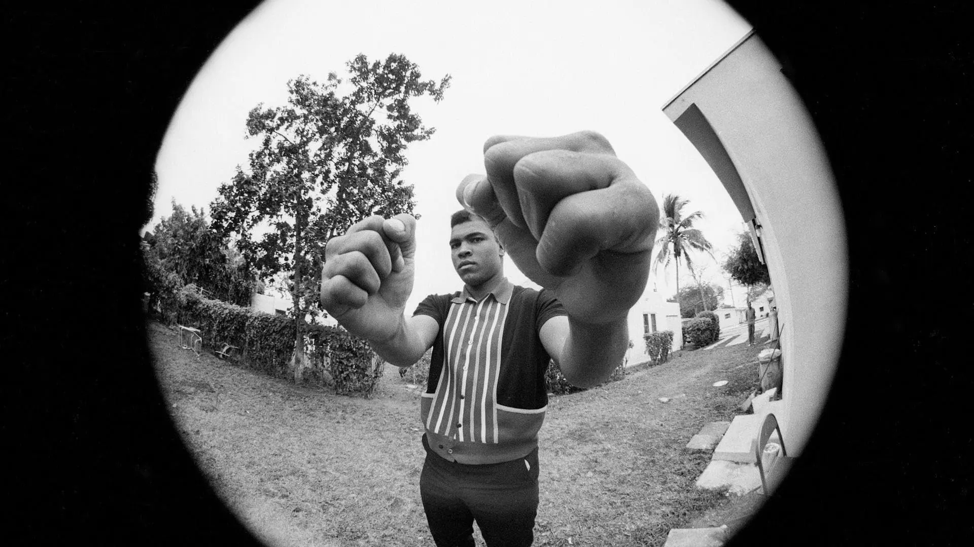 Muhammad Ali backdrop