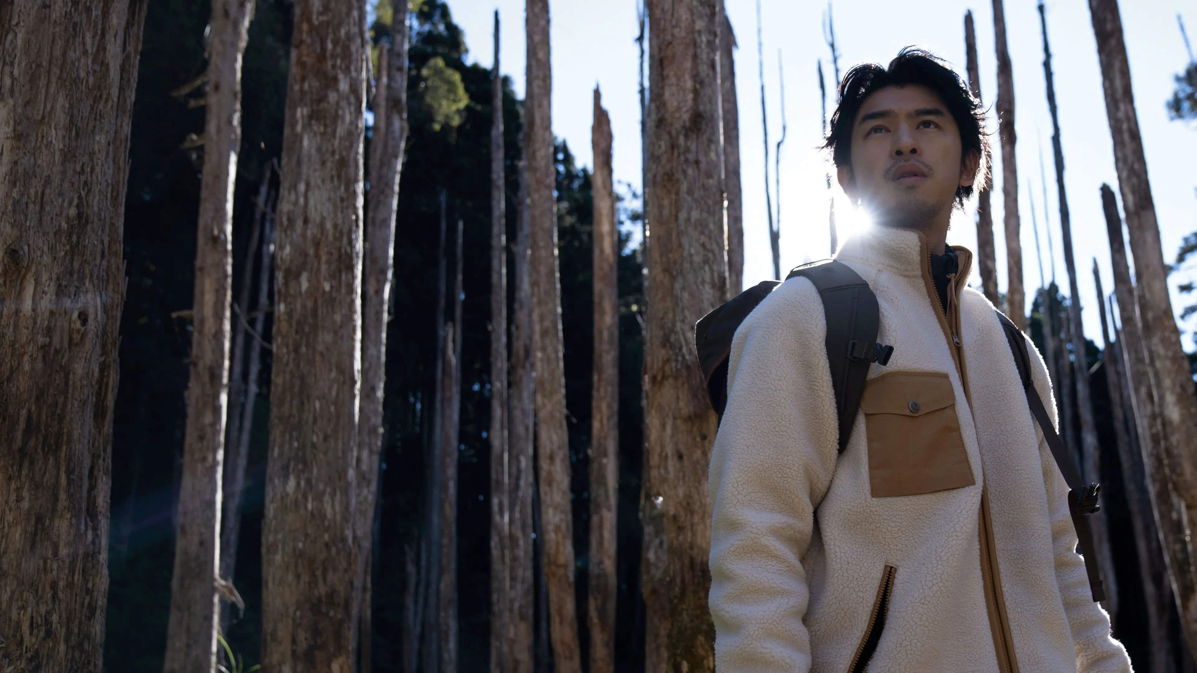 Extreme Forest backdrop