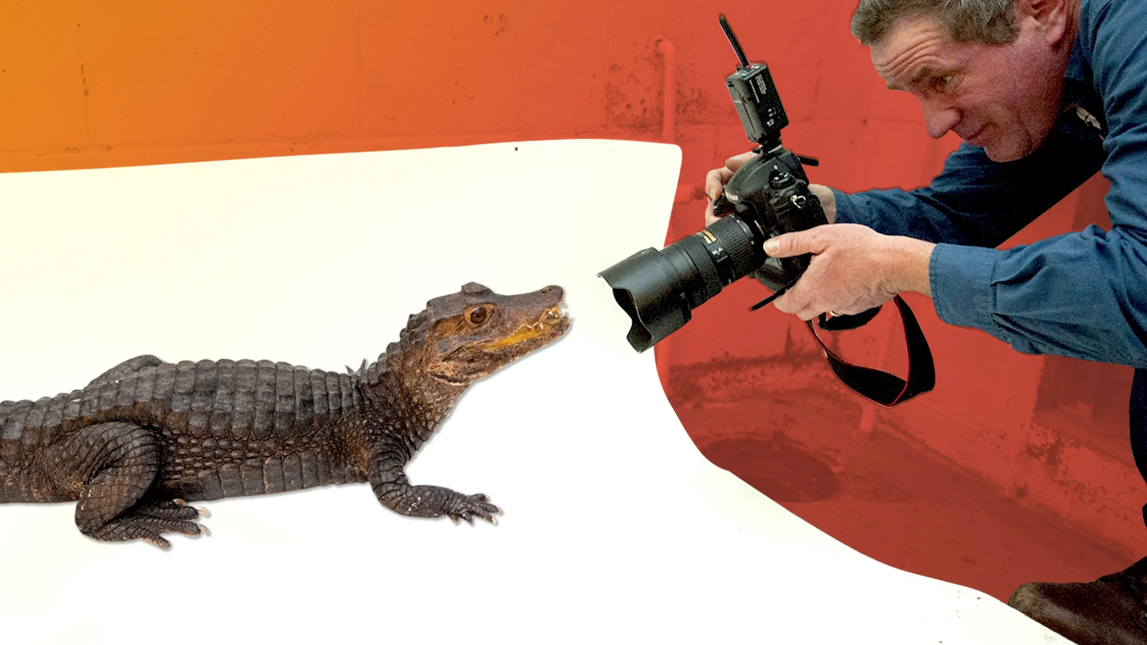 Best Job Ever backdrop