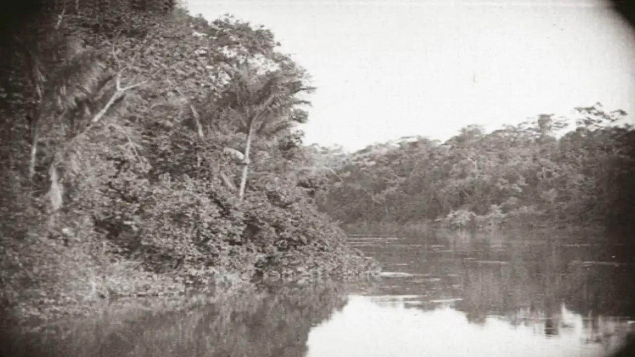 Amazon: Longest River in the World backdrop