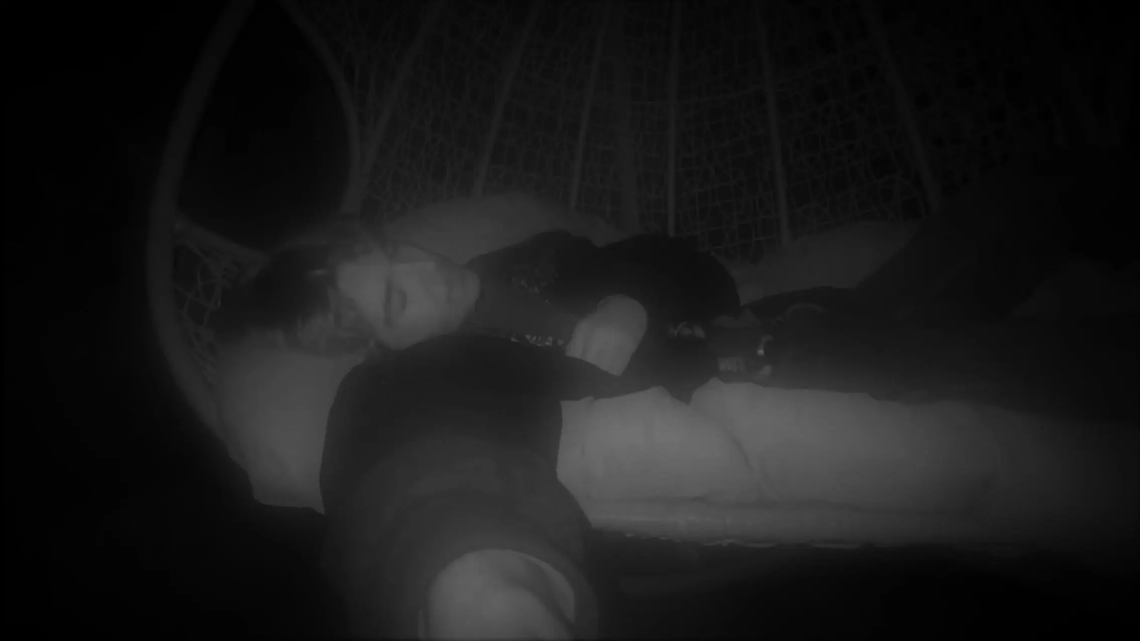 The Gruesome Grizzly Death of Dean Taaffee backdrop