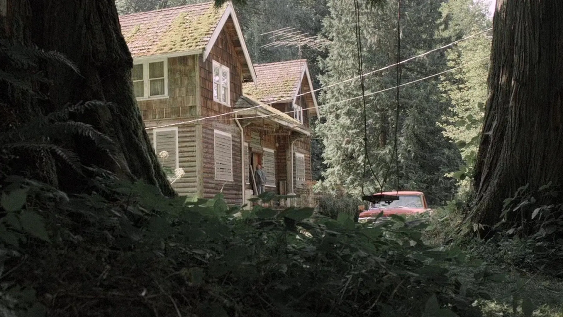 The Unspoken Truth backdrop