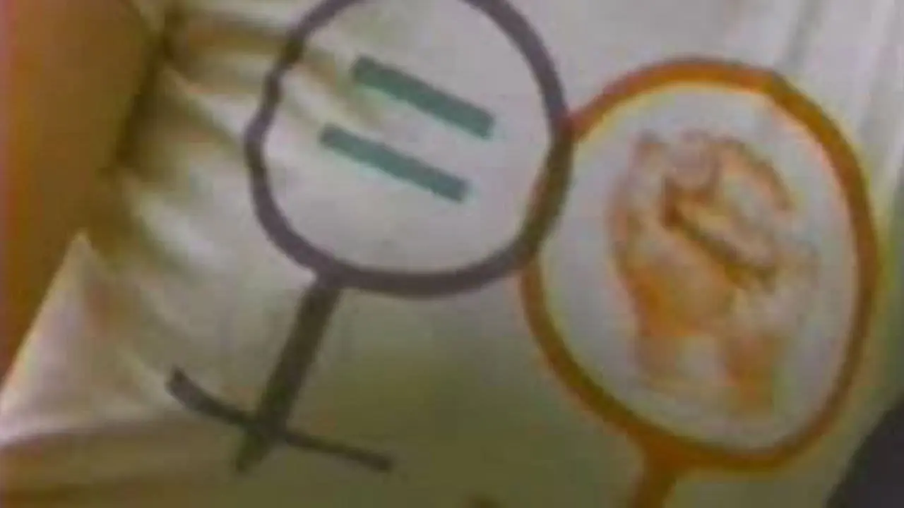 Not For Sale: Feminism and Art in the USA during the 1970s backdrop