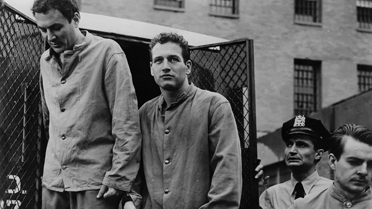 Somebody Up There Likes Me backdrop