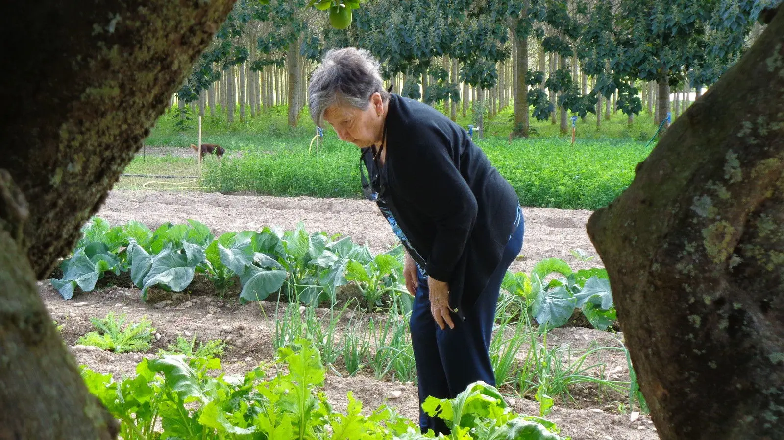 De tros en tros backdrop