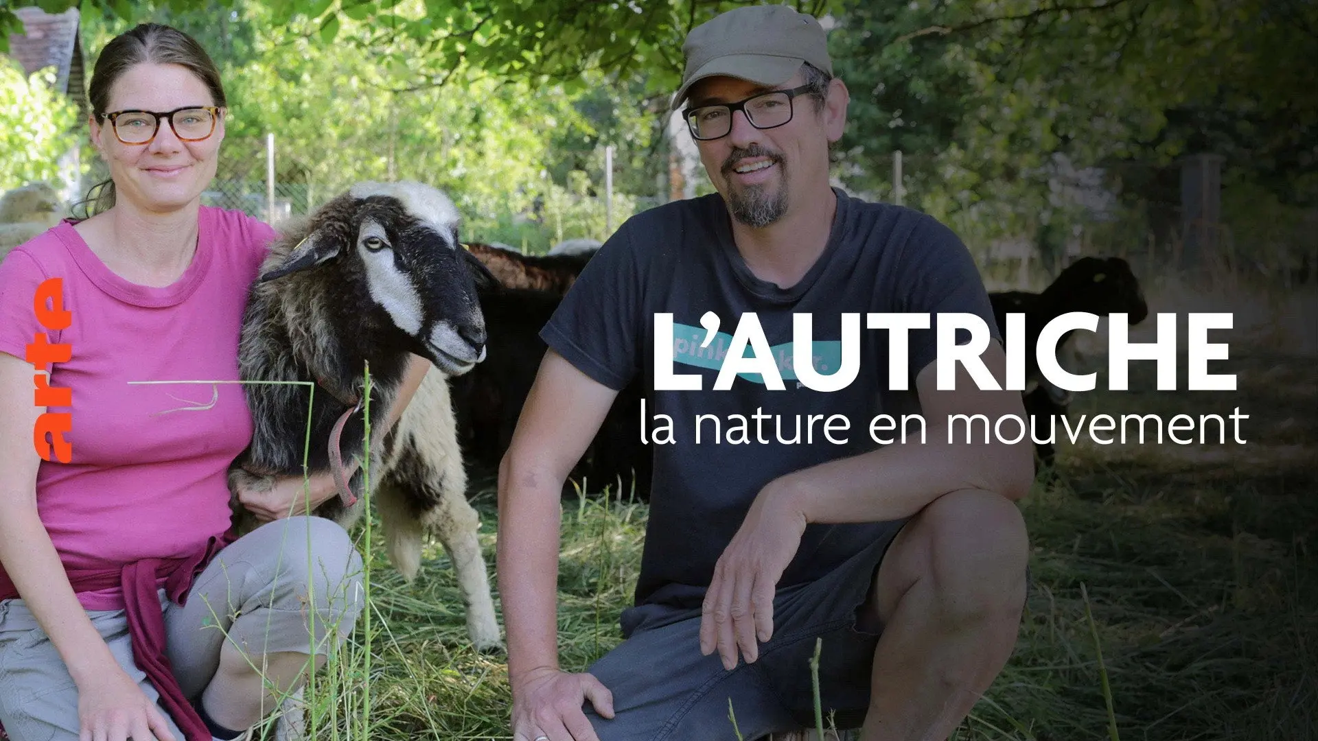 L’Autriche, la nature en mouvement backdrop