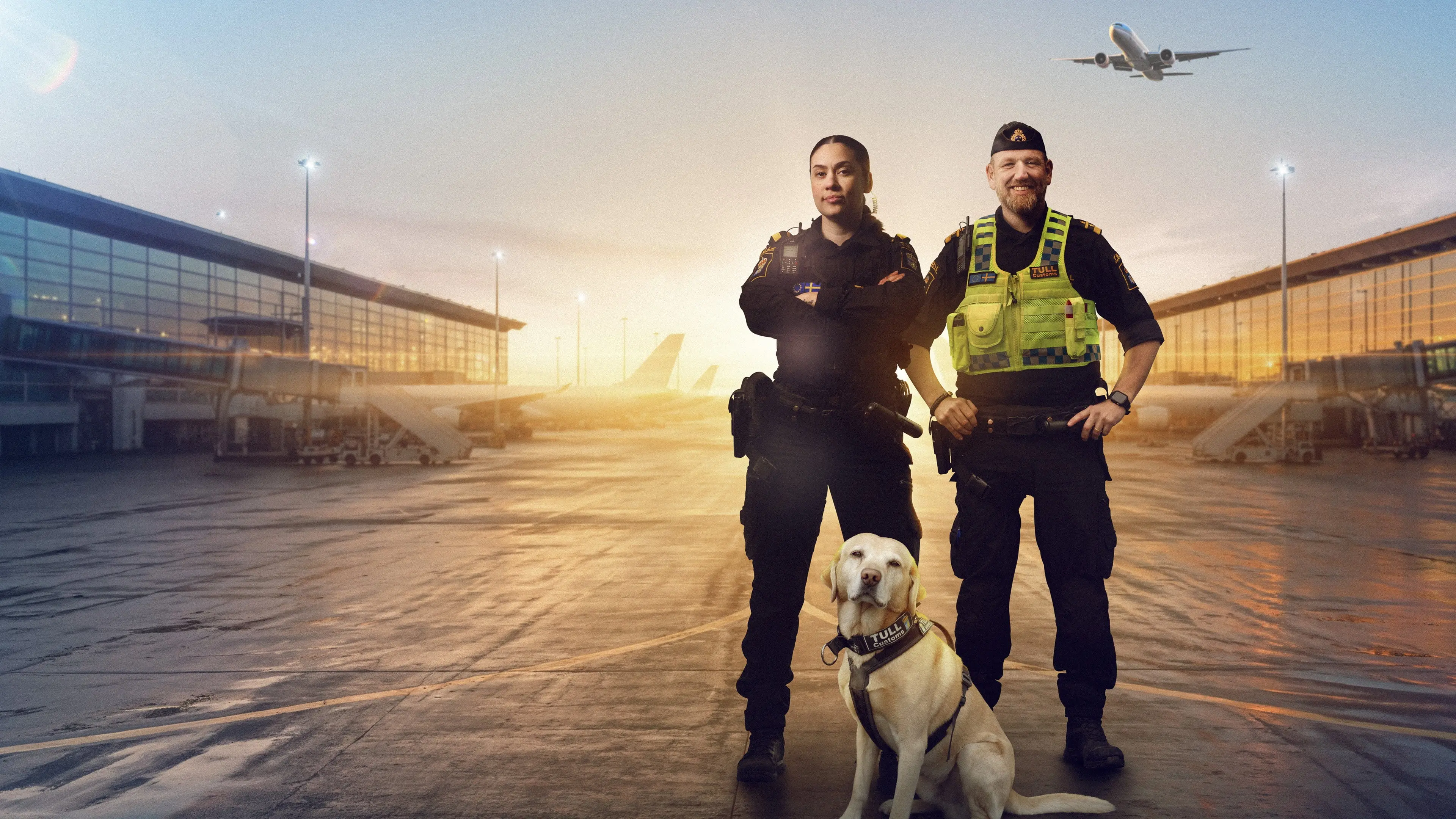 Border Control: Sweden backdrop