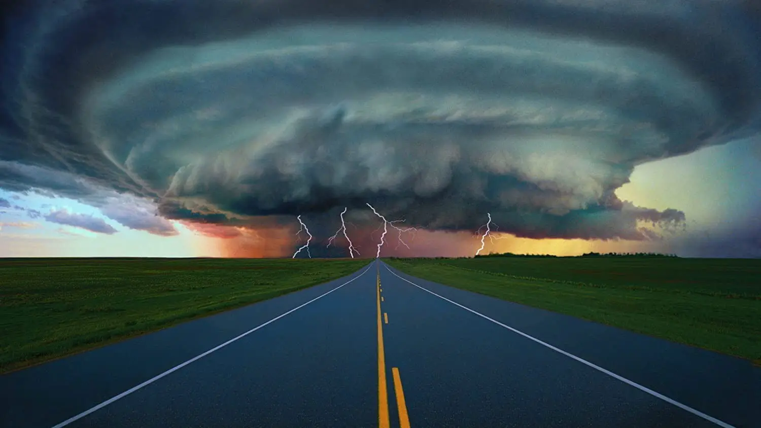 Engineering Nature backdrop