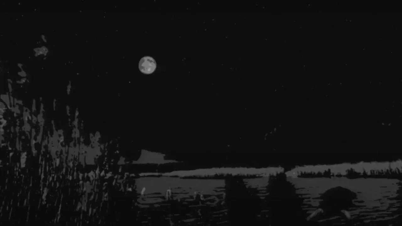 Weird Fishes backdrop