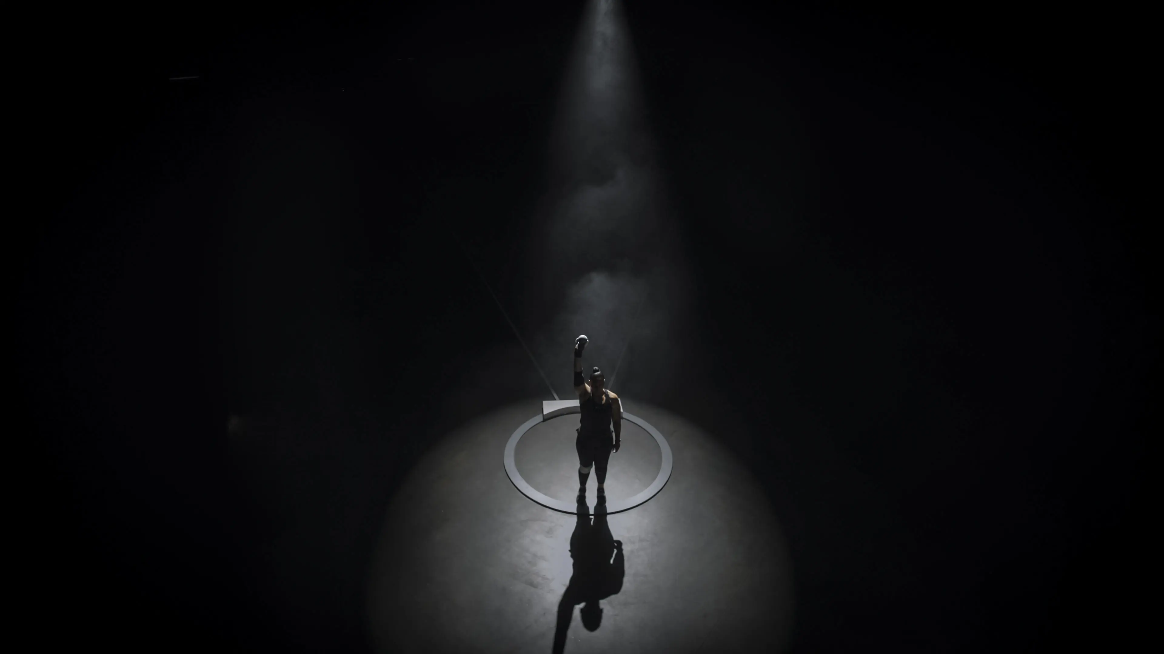 Dame Valerie Adams: More Than Gold backdrop