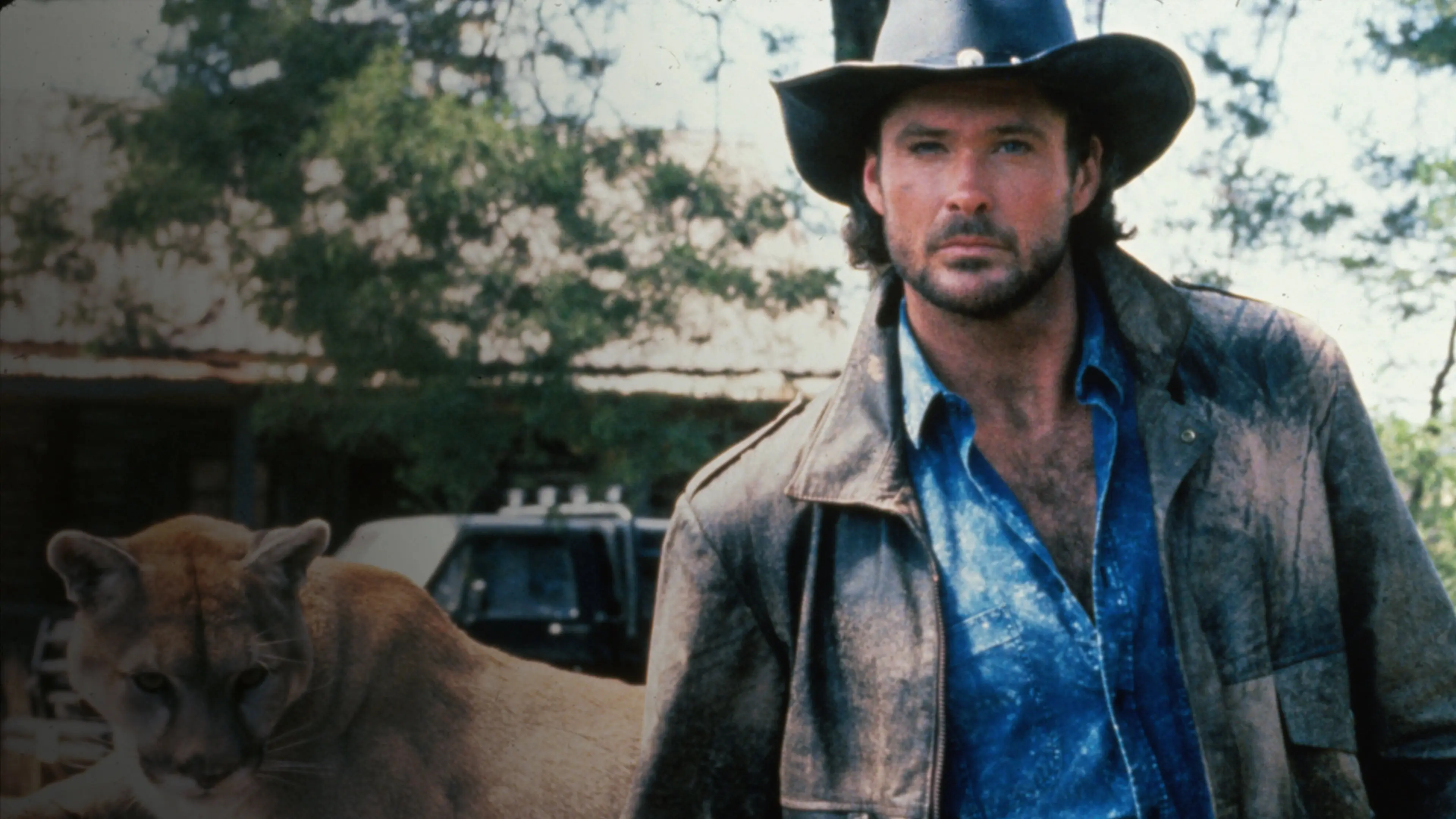 The Final Alliance backdrop