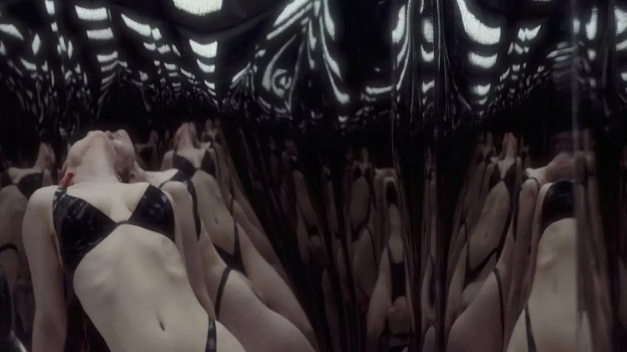 Echo Chamber backdrop