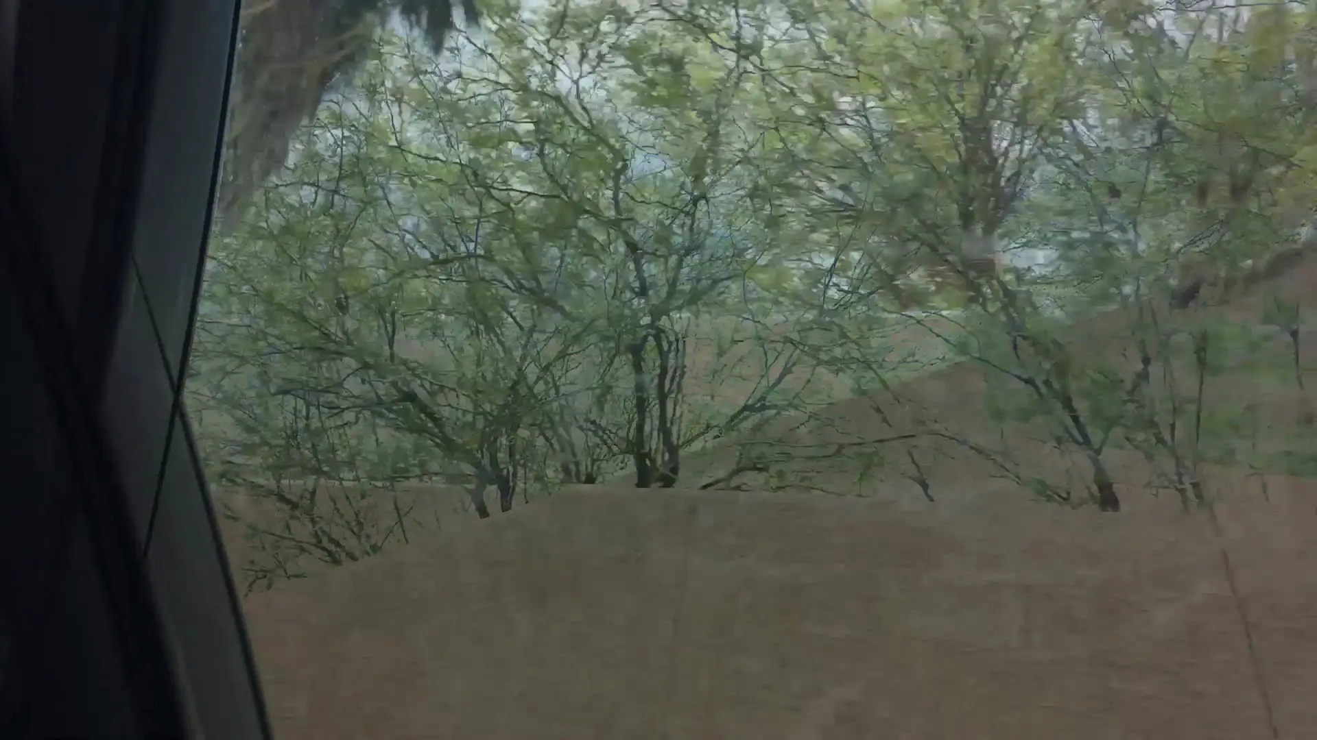 Aridity Enclosure 1 backdrop