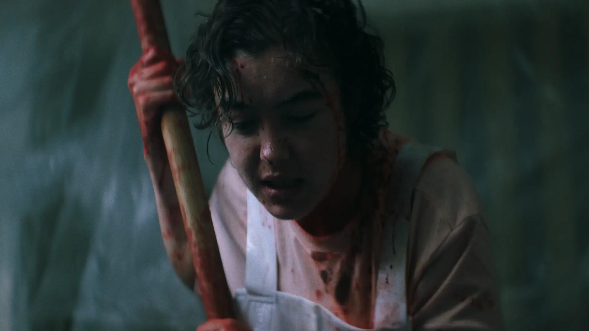 The Classmate backdrop