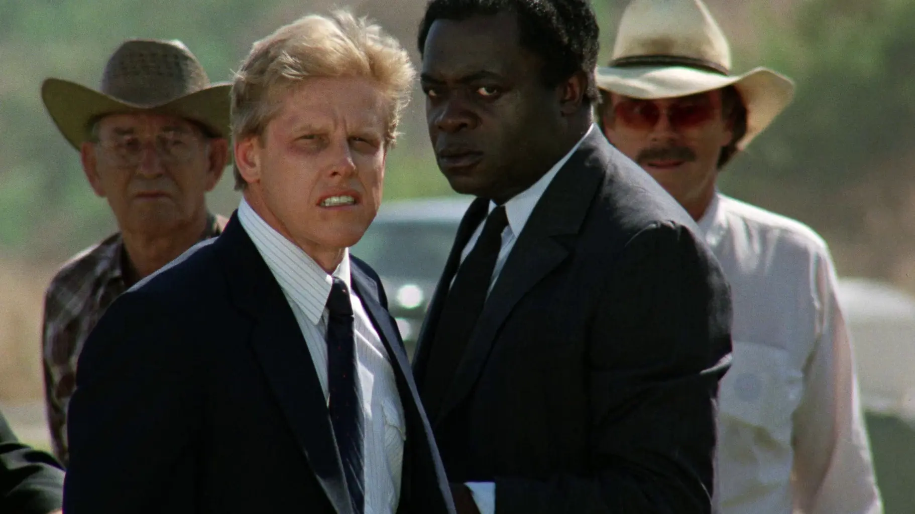 Eye of the Tiger backdrop