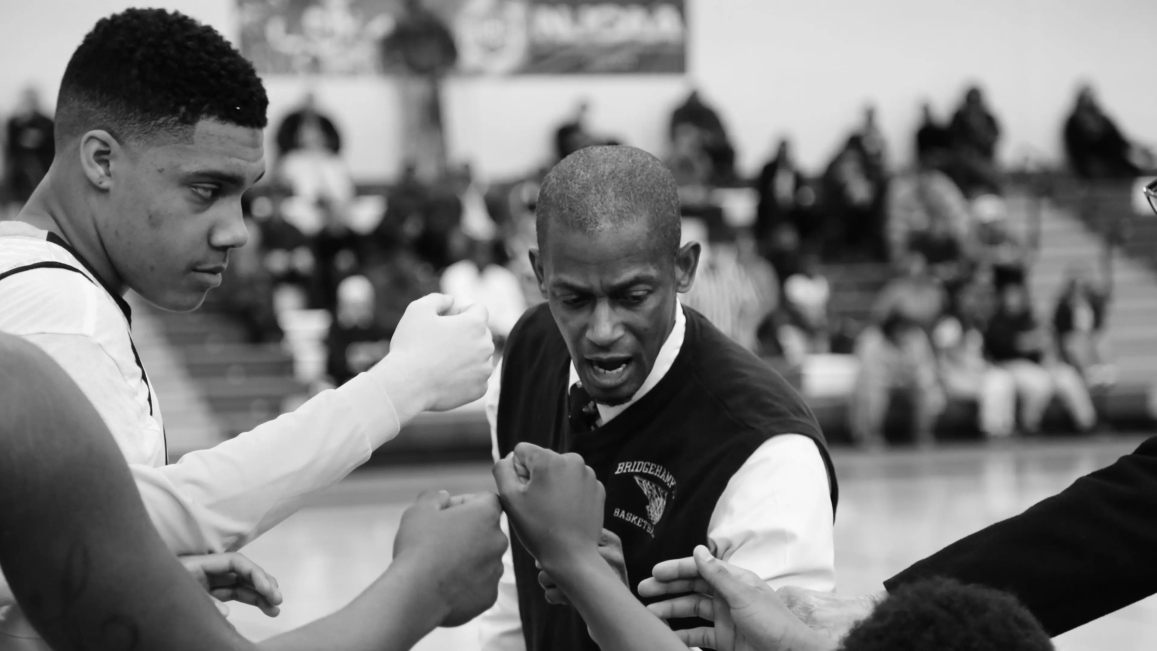 Killer Bees backdrop