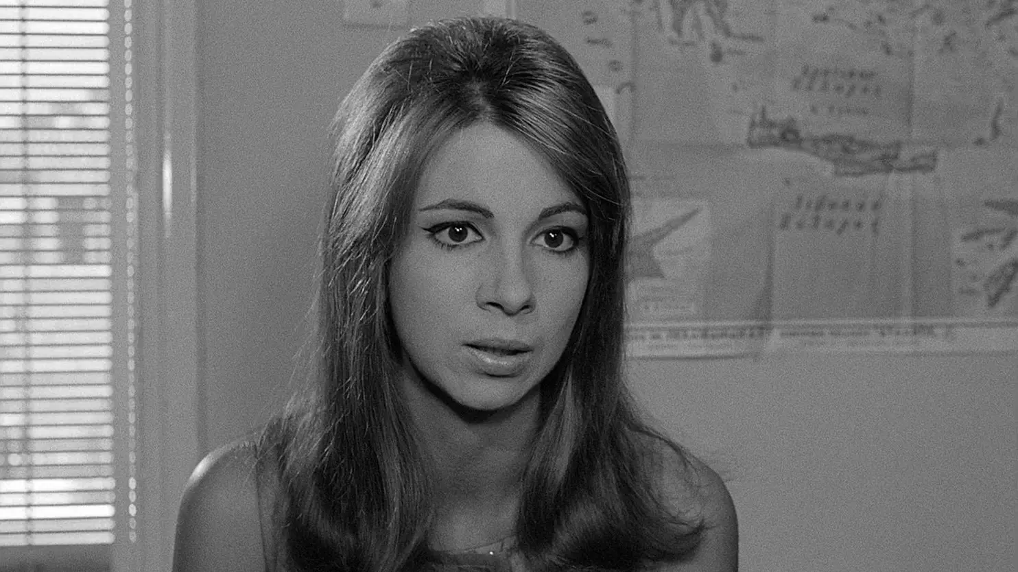 The Hot Month of August backdrop