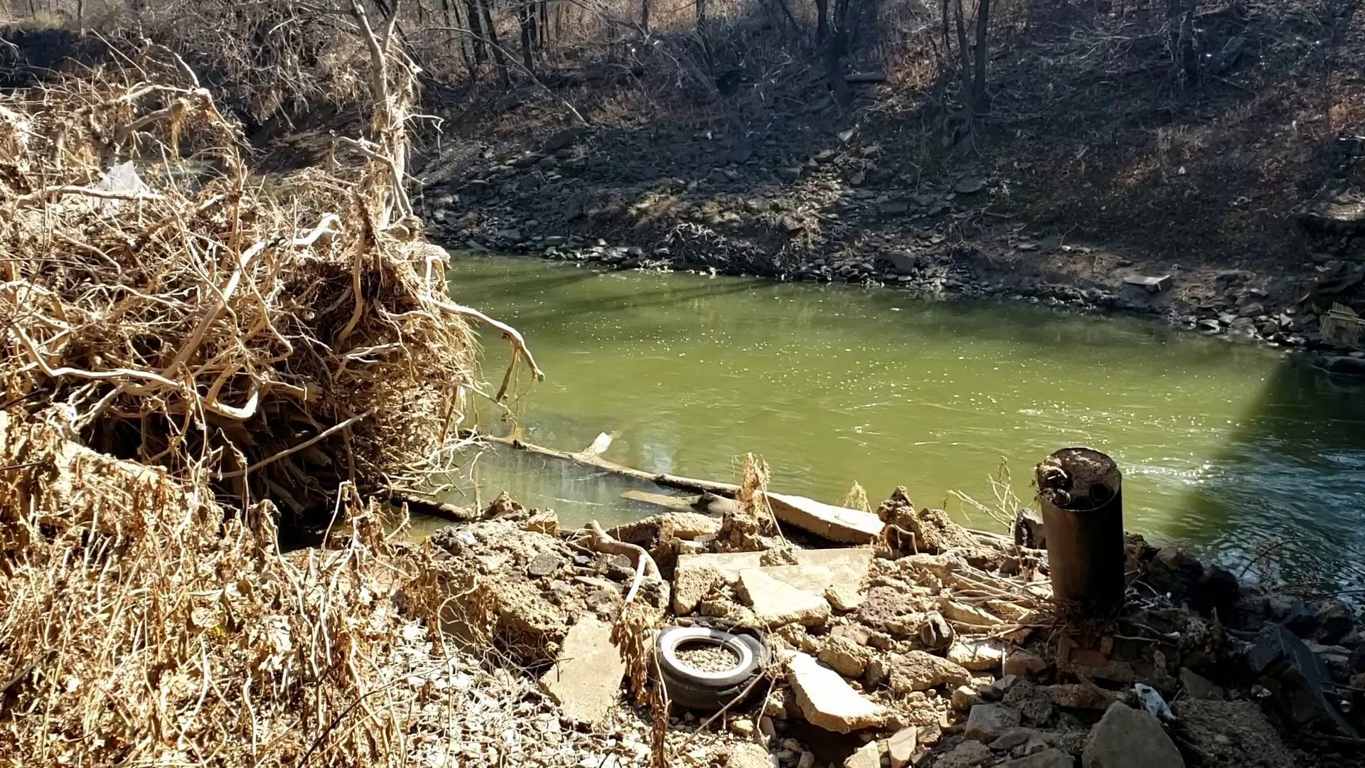 February Heat backdrop