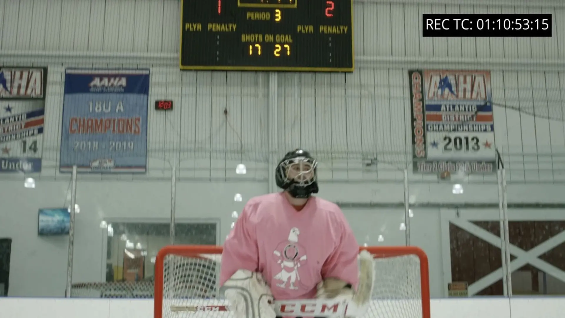 Pink the Rink backdrop