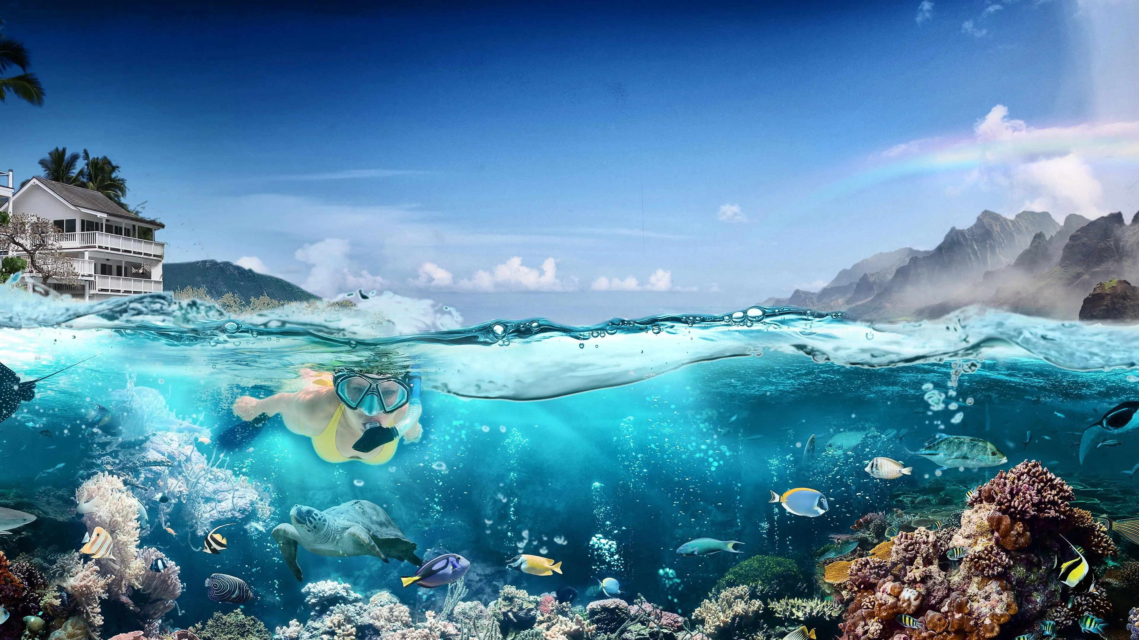 Hawaii Life backdrop