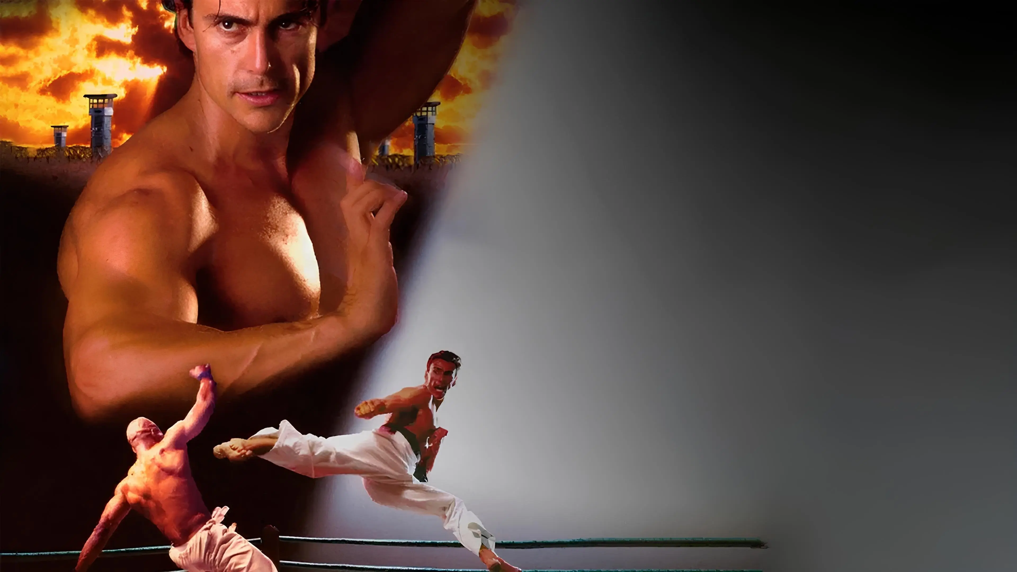 Bloodsport: The Dark Kumite backdrop