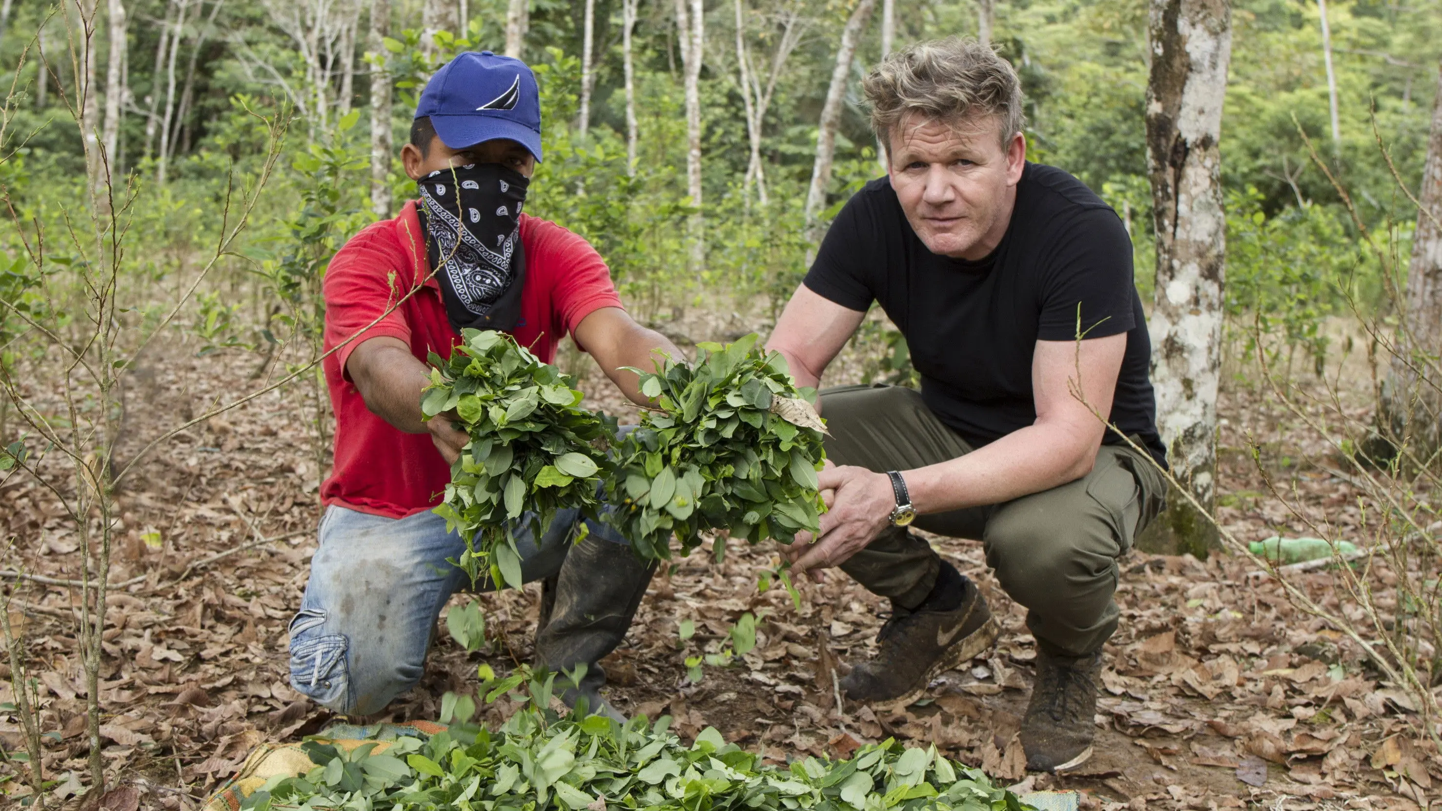 Gordon Ramsay on Cocaine backdrop