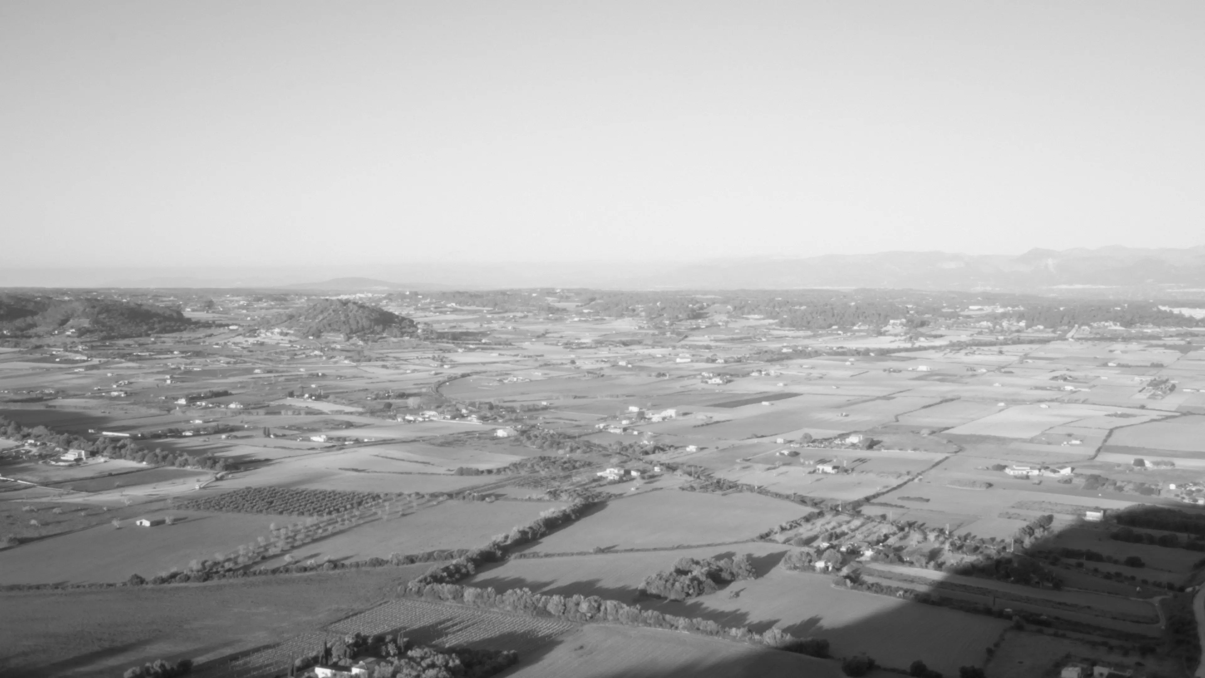 Dear Sa Bastida backdrop