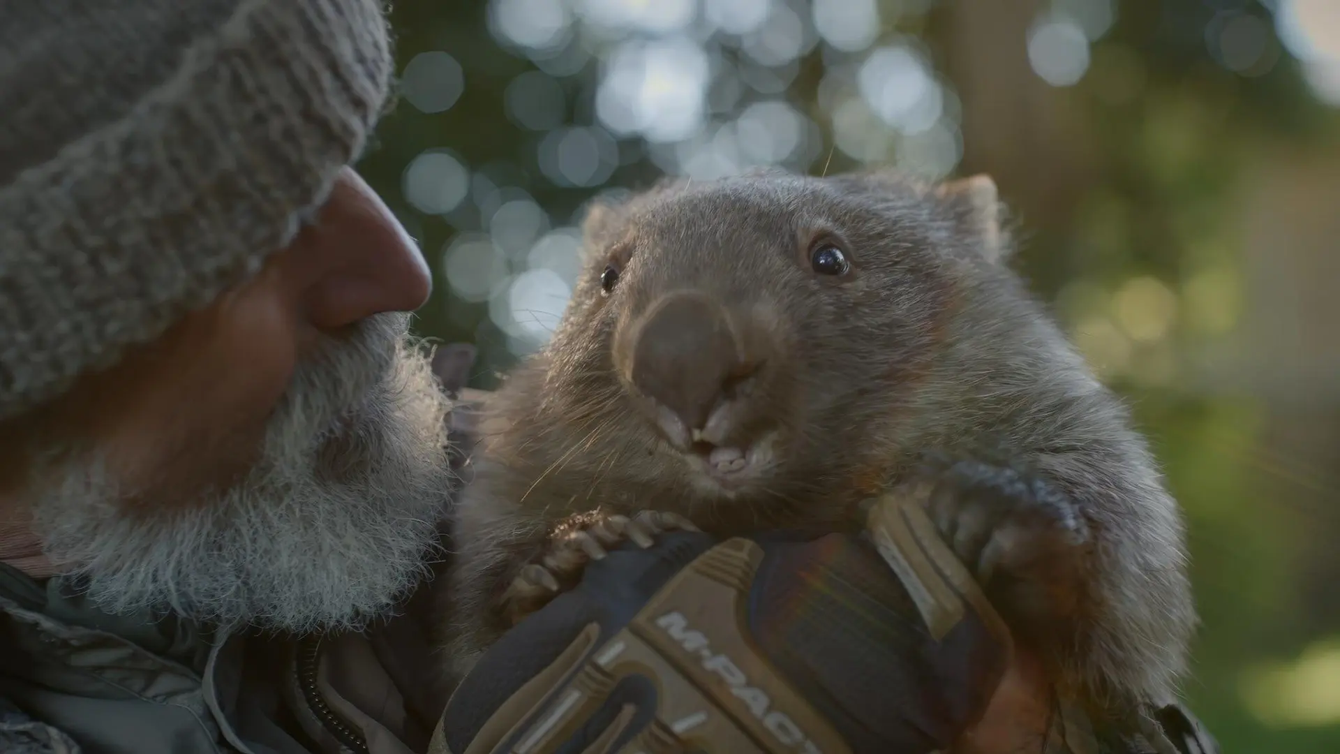 Notre nouveau monde : quand la terre nous surprend backdrop