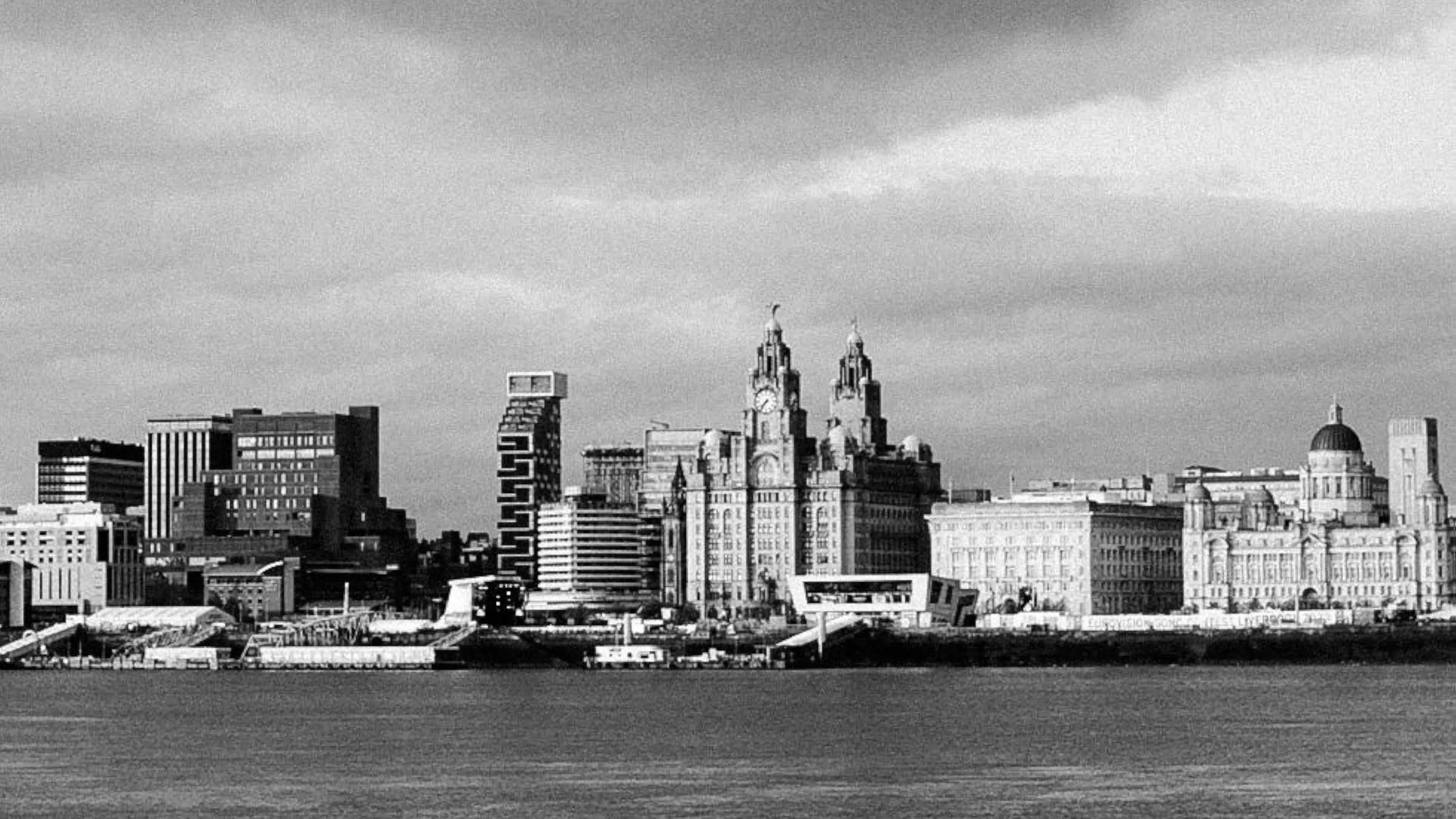 Rise Like A Phoenix backdrop