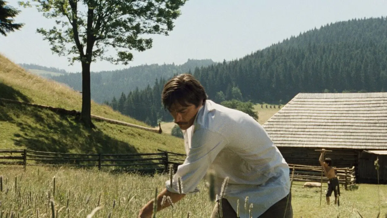 Shadows of a Hot Summer backdrop