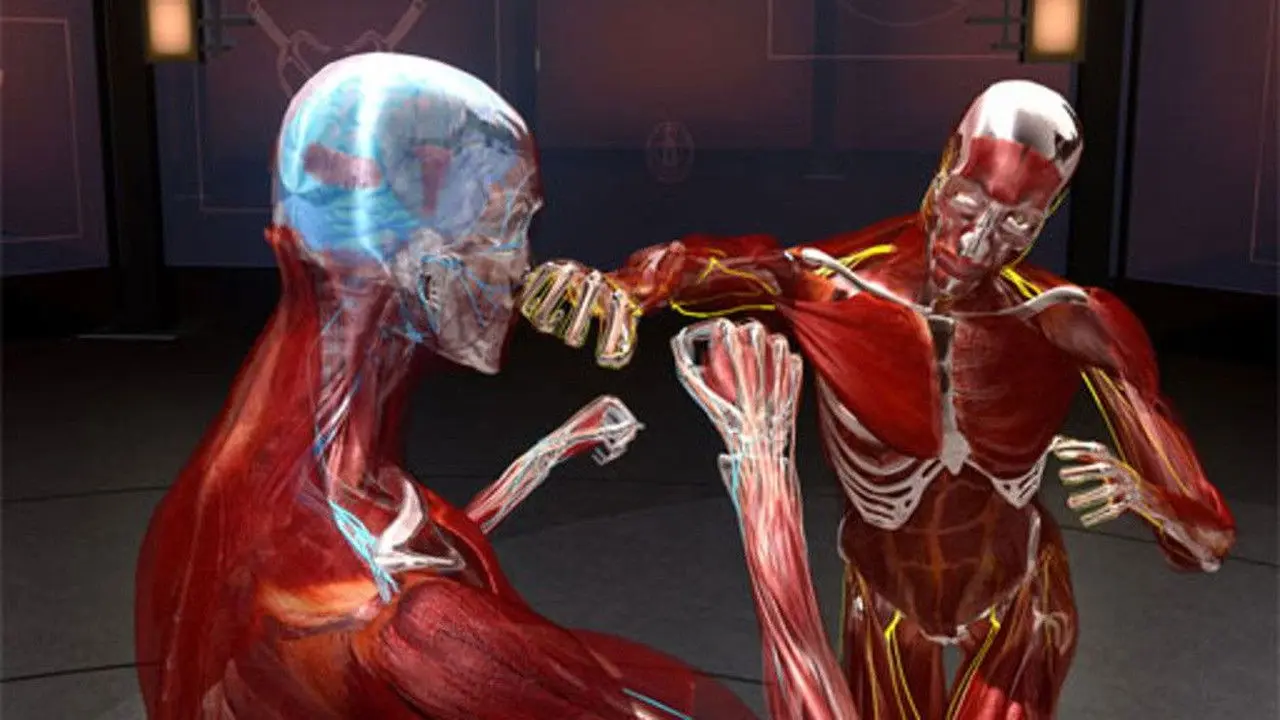 Fight Science backdrop