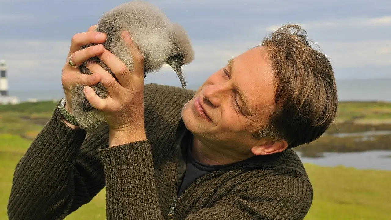 The Animal's Guide to Britain backdrop