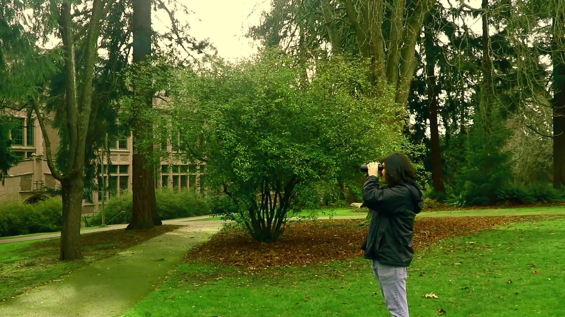 A Man Finds Binoculars backdrop